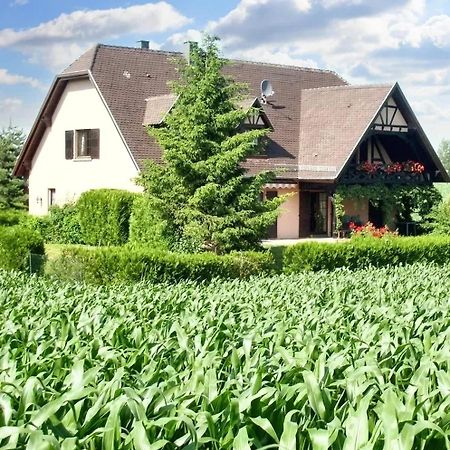 Appartement Charmant A Hochfelden 100 M² Et Parking Gratuit Gottesheim Exterior foto