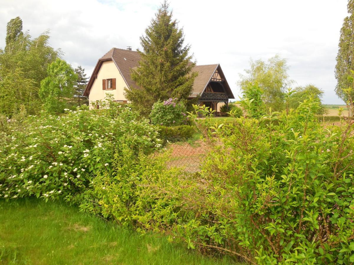 Appartement Charmant A Hochfelden 100 M² Et Parking Gratuit Gottesheim Exterior foto