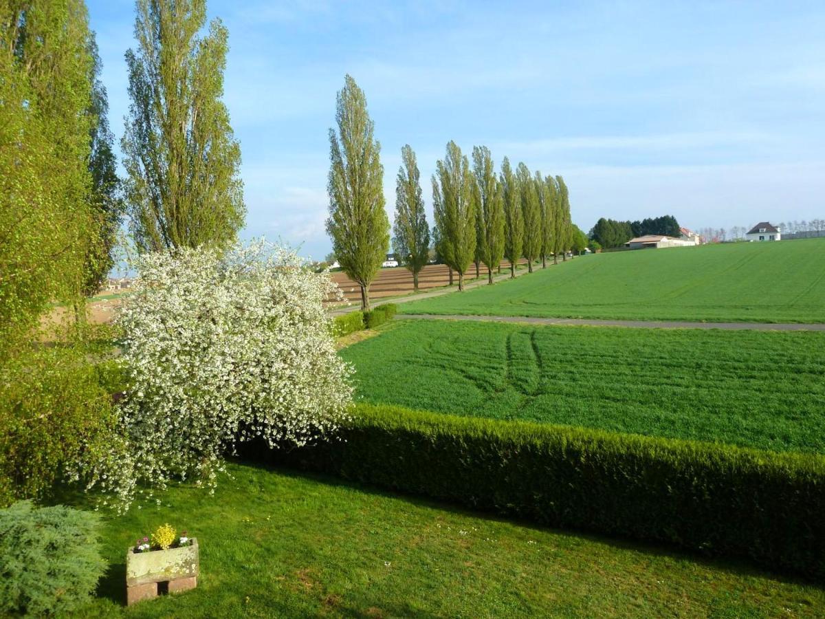 Appartement Charmant A Hochfelden 100 M² Et Parking Gratuit Gottesheim Exterior foto