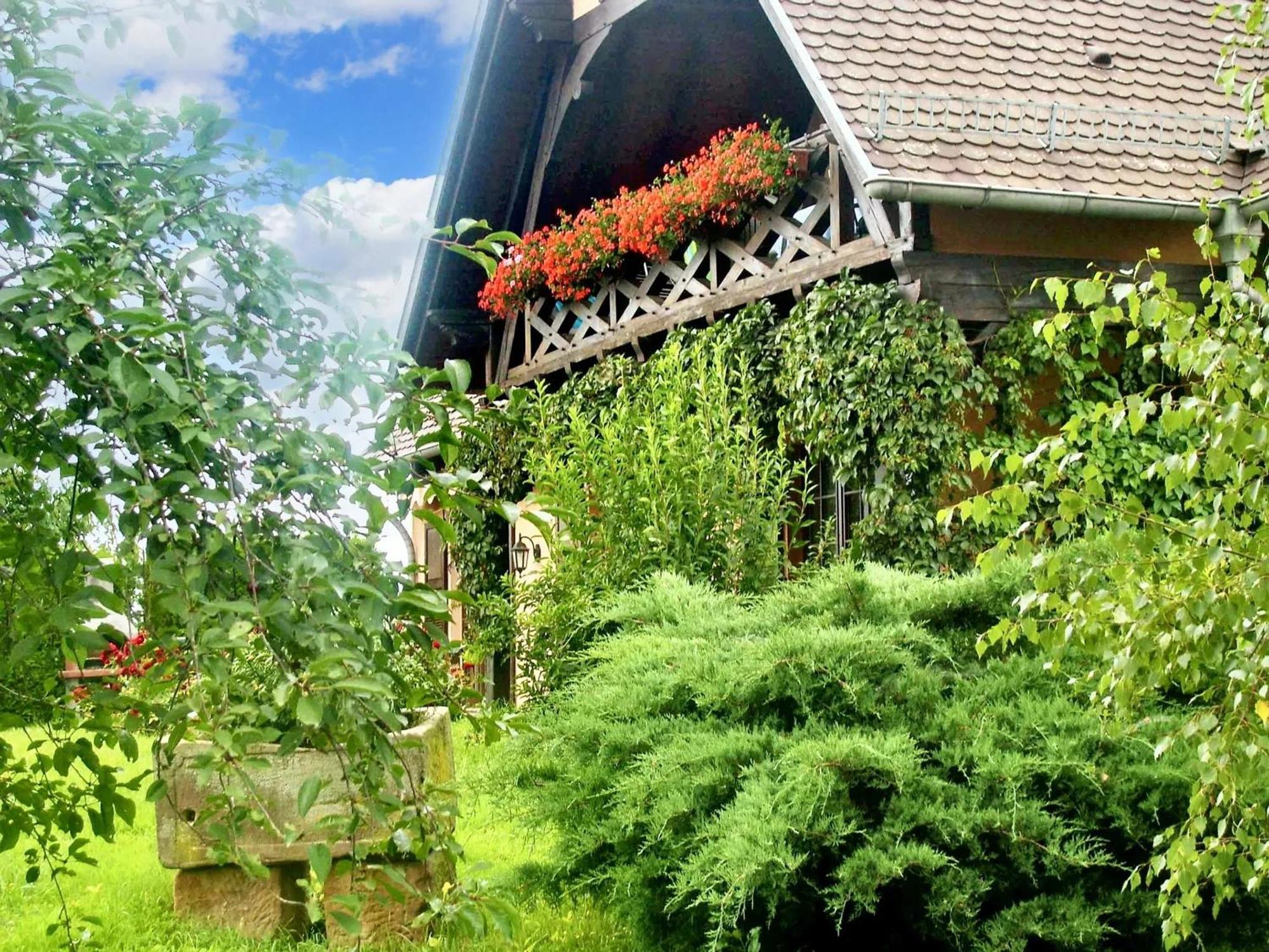 Appartement Charmant A Hochfelden 100 M² Et Parking Gratuit Gottesheim Exterior foto